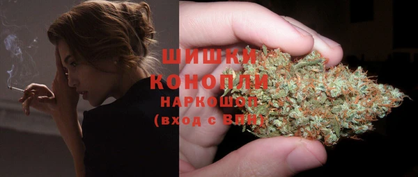 гидра Алзамай