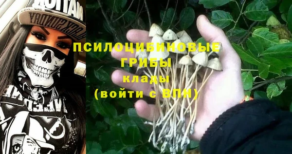 spice Аркадак