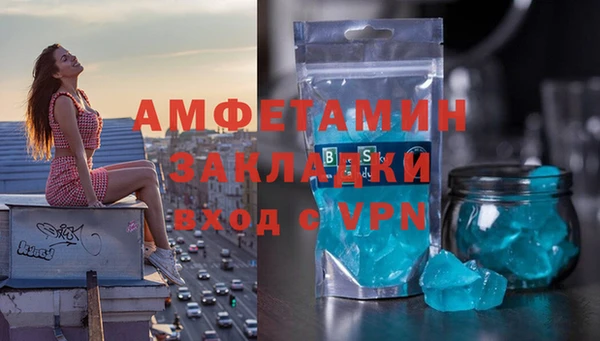 молекула духа Арсеньев