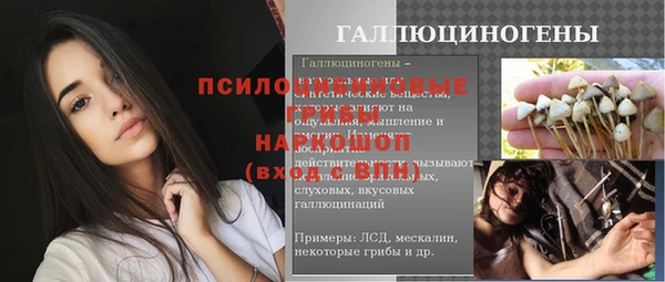 spice Аркадак