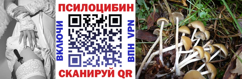 omg рабочий сайт  Королёв  Псилоцибиновые грибы Magic Shrooms 